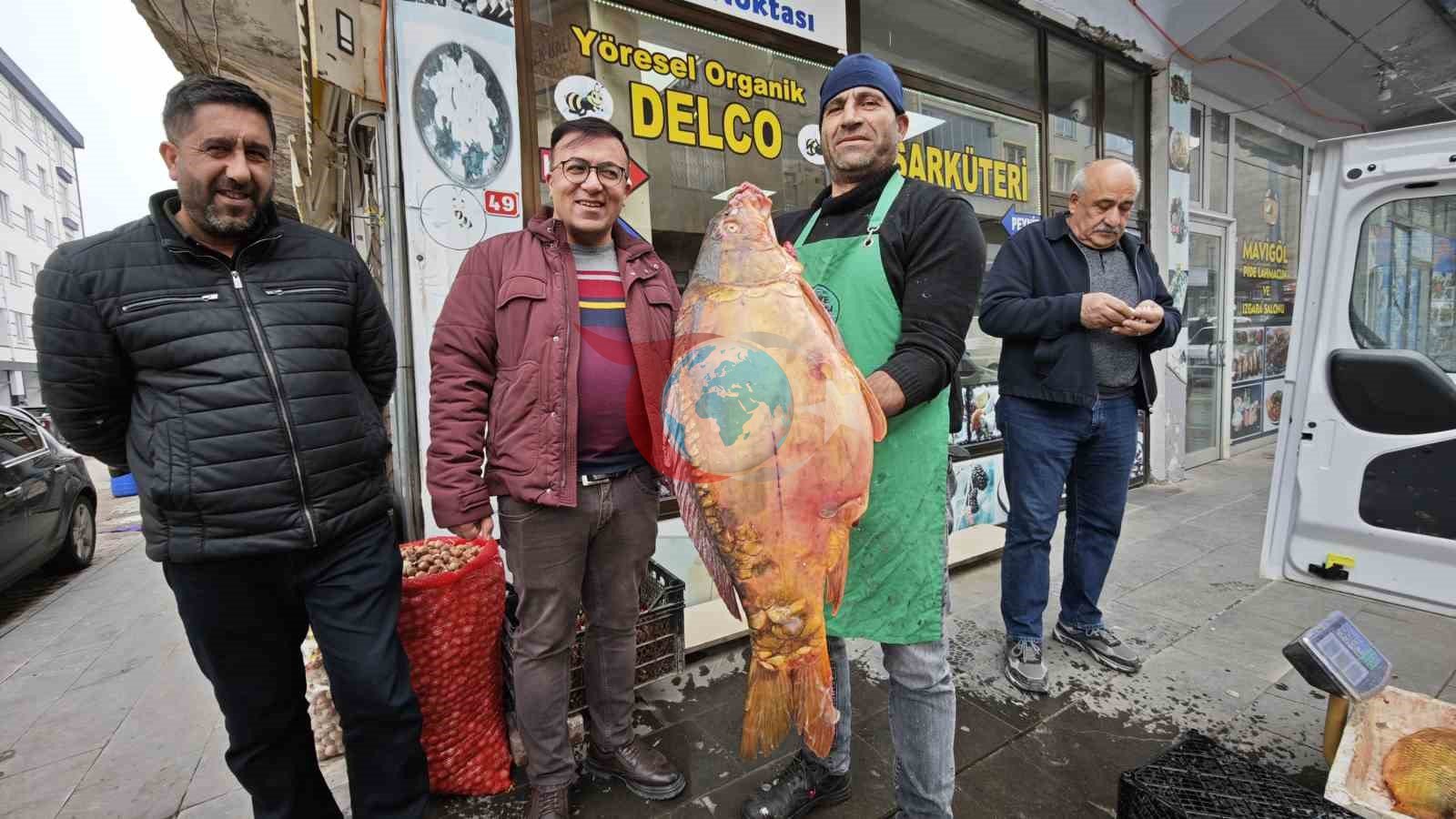 Ahlat’ta dev sazan balıklarına yoğun ilgi