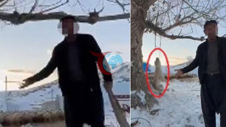 Şok Edici Olay: Köpeğini Aşırı Yemek Yediği İçin Öldürdü