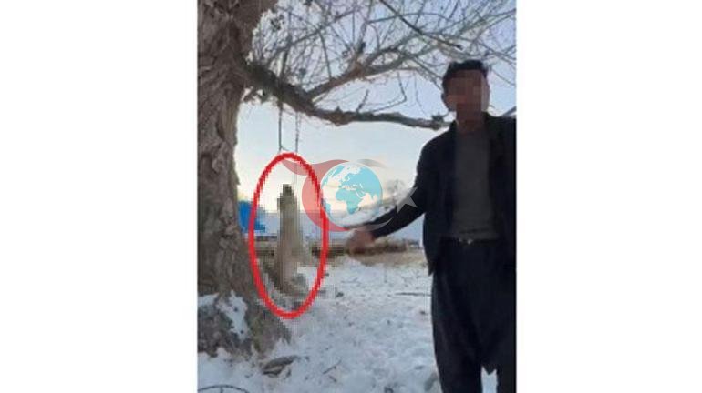 Akılalmaz olay Çok fazla yediği için köpeğini asarak öldürdü
