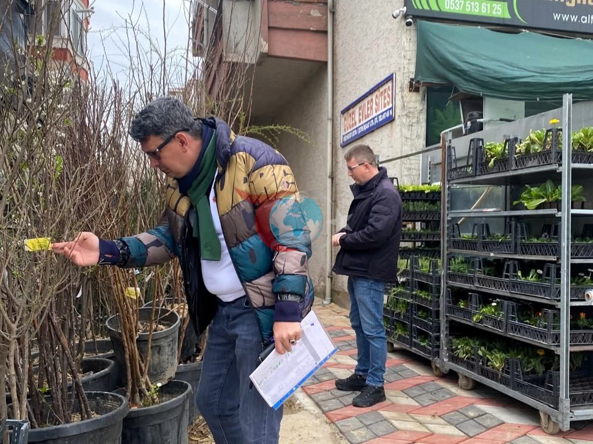 Lรผleburgazโda fidan satฤฑล noktalarฤฑna denetim