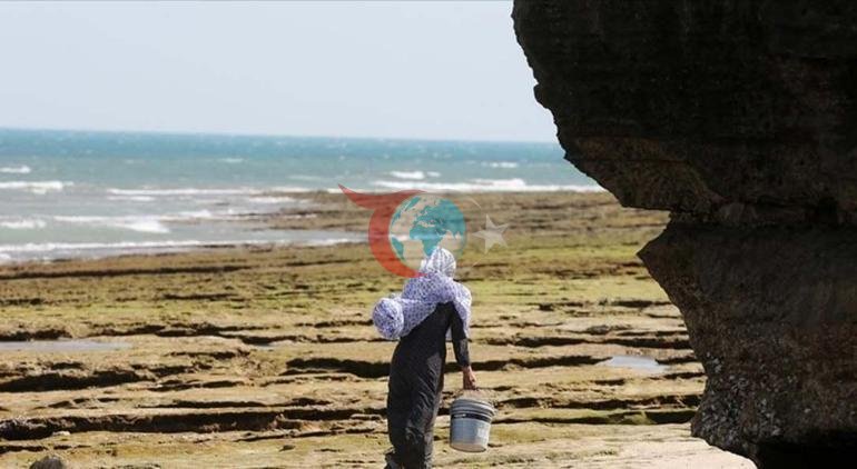 ABDnin gizli planındaki asıl nokta Keşm Adası mı Binlerce asker tetikte