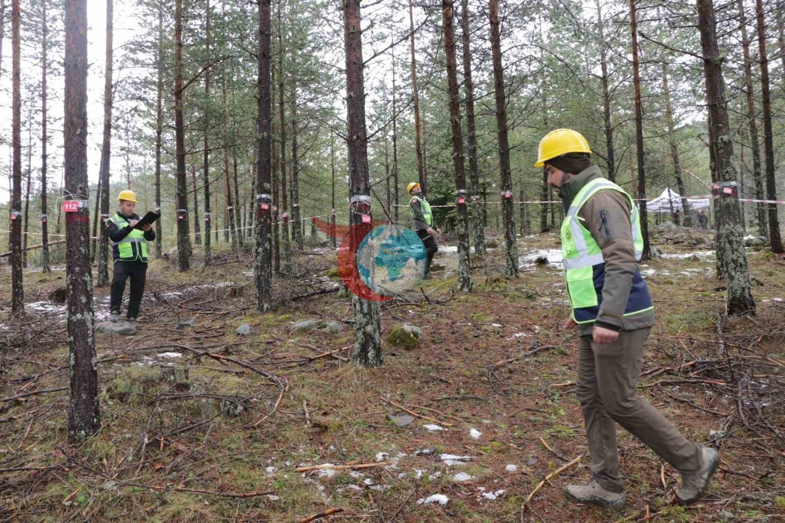 Yarışmada ter döktüler