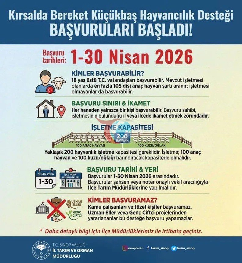 Sinop'ta Küçükbaş Hayvancılık İçin Yeni Destek Programı Başladı