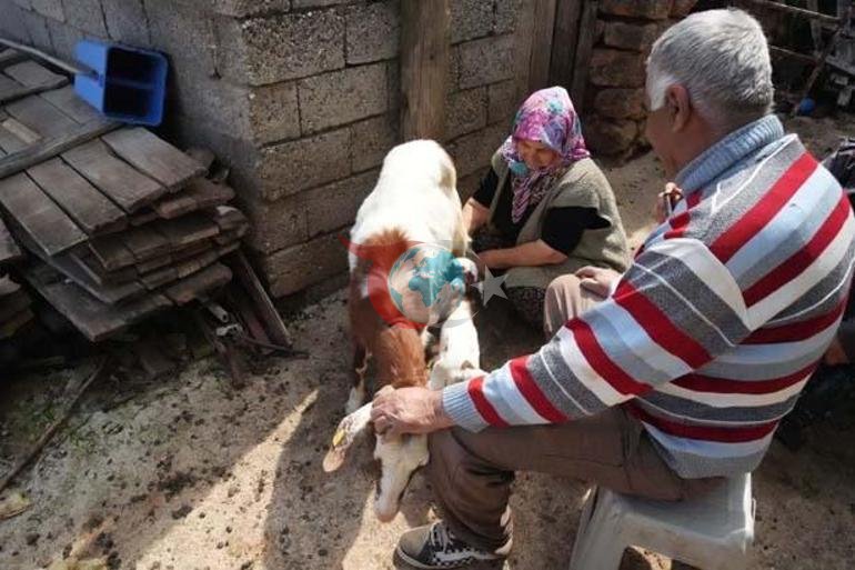 Yardım ettiği komşusu şikayet etti Bütün mahalleyi yakan karar: Bir senelik emeği boşuna gitti