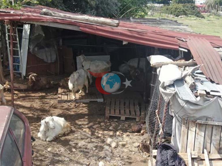 Yardım ettiği komşusu şikayet etti Bütün mahalleyi yakan karar: Bir senelik emeği boşuna gitti