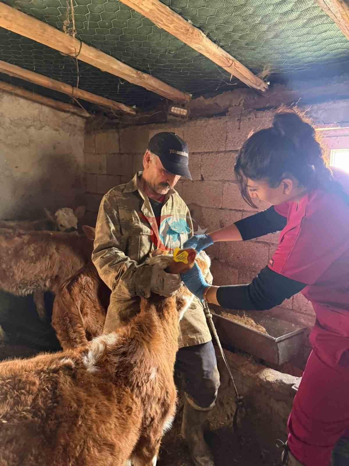 𐰀𐰠𐰔𐰃𐰍'𐰑𐰀 𐱁𐰀𐰯 𐰀𐱁𐰃𐰞𐰀𐰢𐰀 𐰲𐰀𐰞𐰃𐱁𐰢𐰀𐰞𐰺𐰃 𐰓𐰀𐰉𐰢 𐰀𐰓𐰃𐰖𐰆𐰺