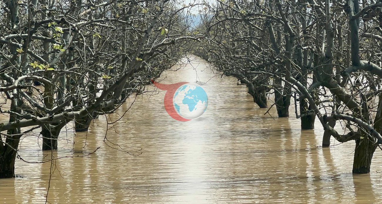 Bursa'da Şeftali ve Armut Bahçeleri Sel Felaketiyle Karşı Karşıya