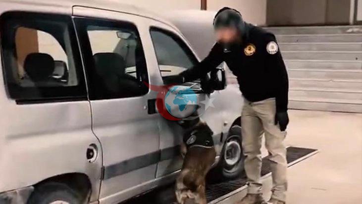Narkotik Köpeğinin Başarısı: Direksiyon Bölmesinden Uyuşturucu Çıktı