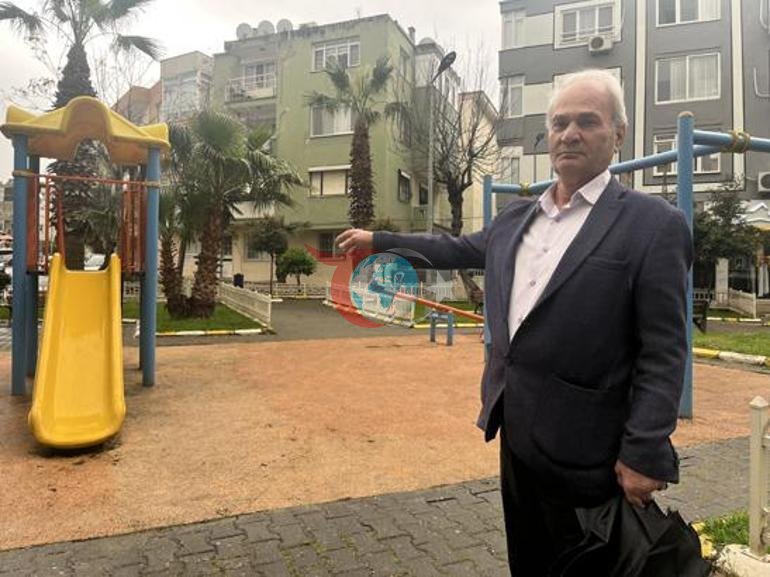İzmir’de şaşırtan manzara: Domuzlar kedilerle yan yana Vatandaşlar tedirgin