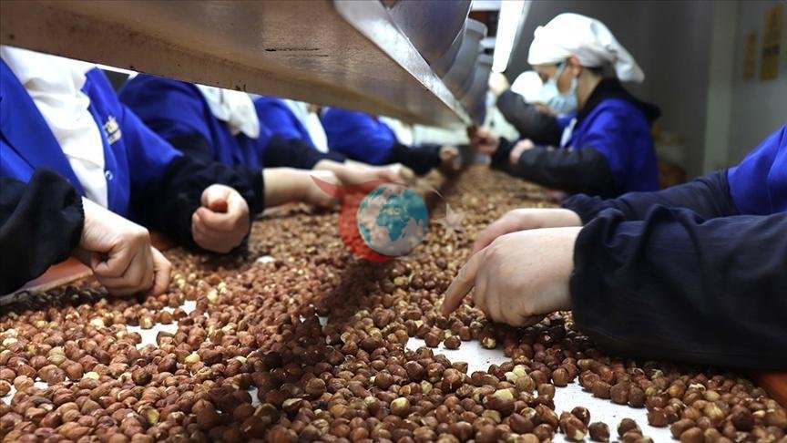 Giresun, Kadınların İhracattaki Katkısında Zirvede