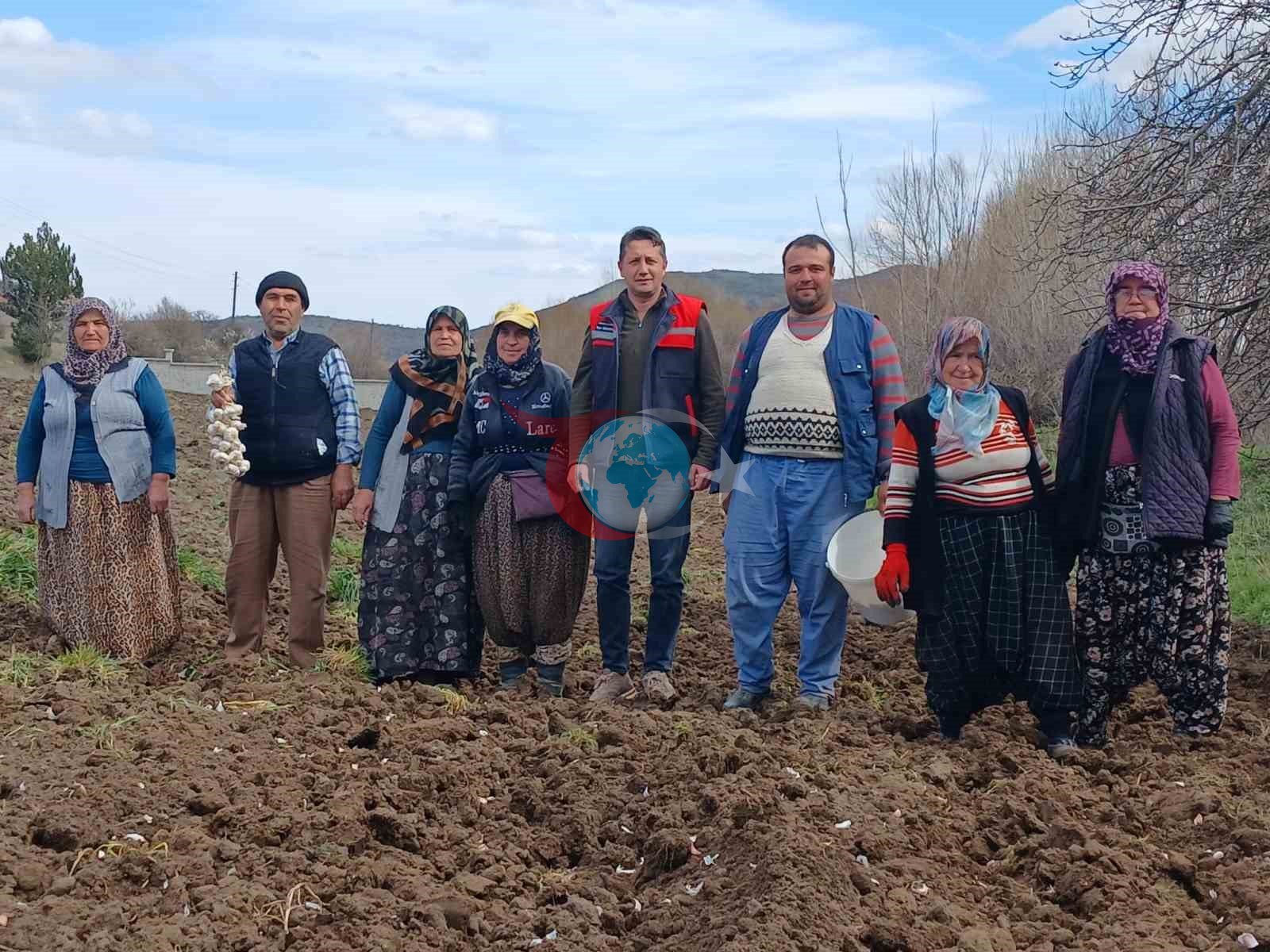 Tavşanlı ’Köprücek Sarımsağı’ artık çiftçilere ciddi gelir sağlıyor