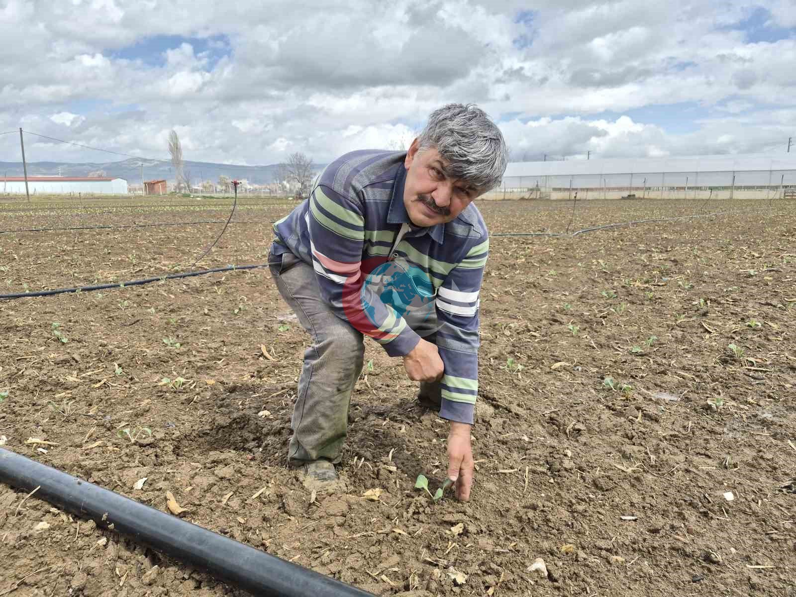 Eskişehir'de İlkbahar Tohumları Toprakla Buluştu
