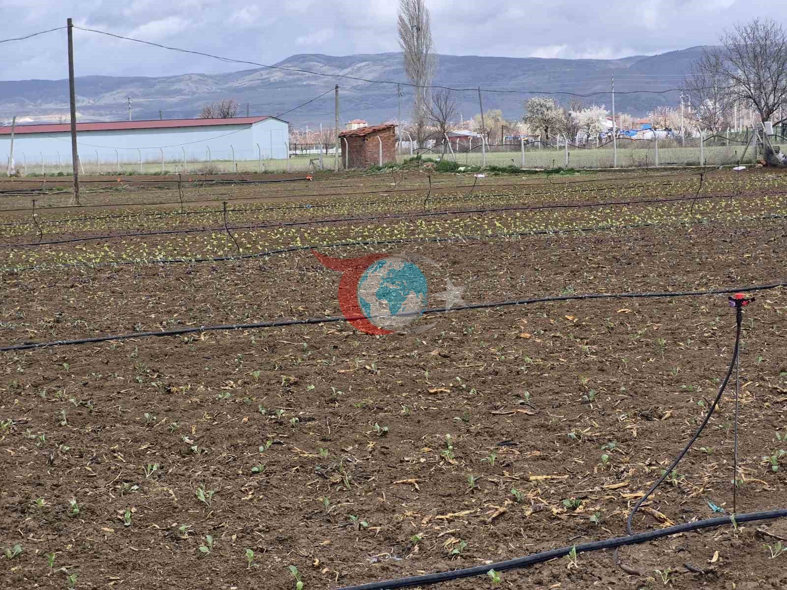 Eskişehir&rsquo;de yılın ilk tohum ve fideleri toprakla buluştu