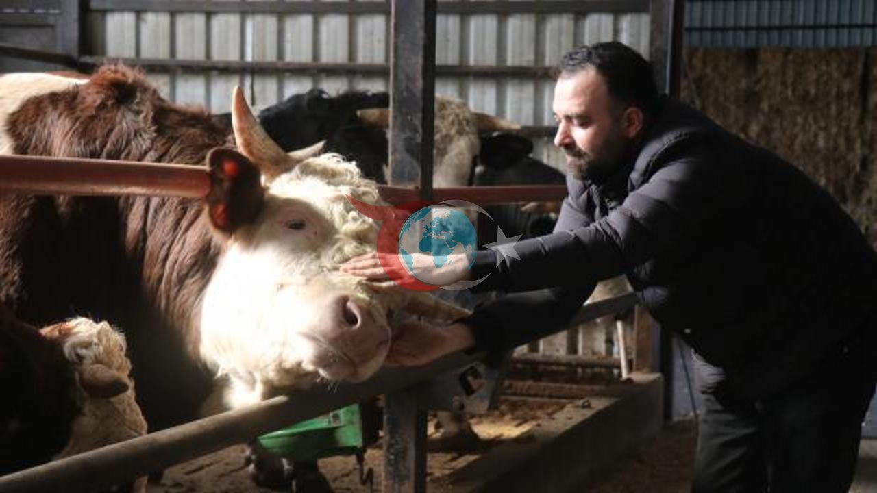 Kurbanlık Alımlarında Erken Rezervasyon Dönemi Başladı