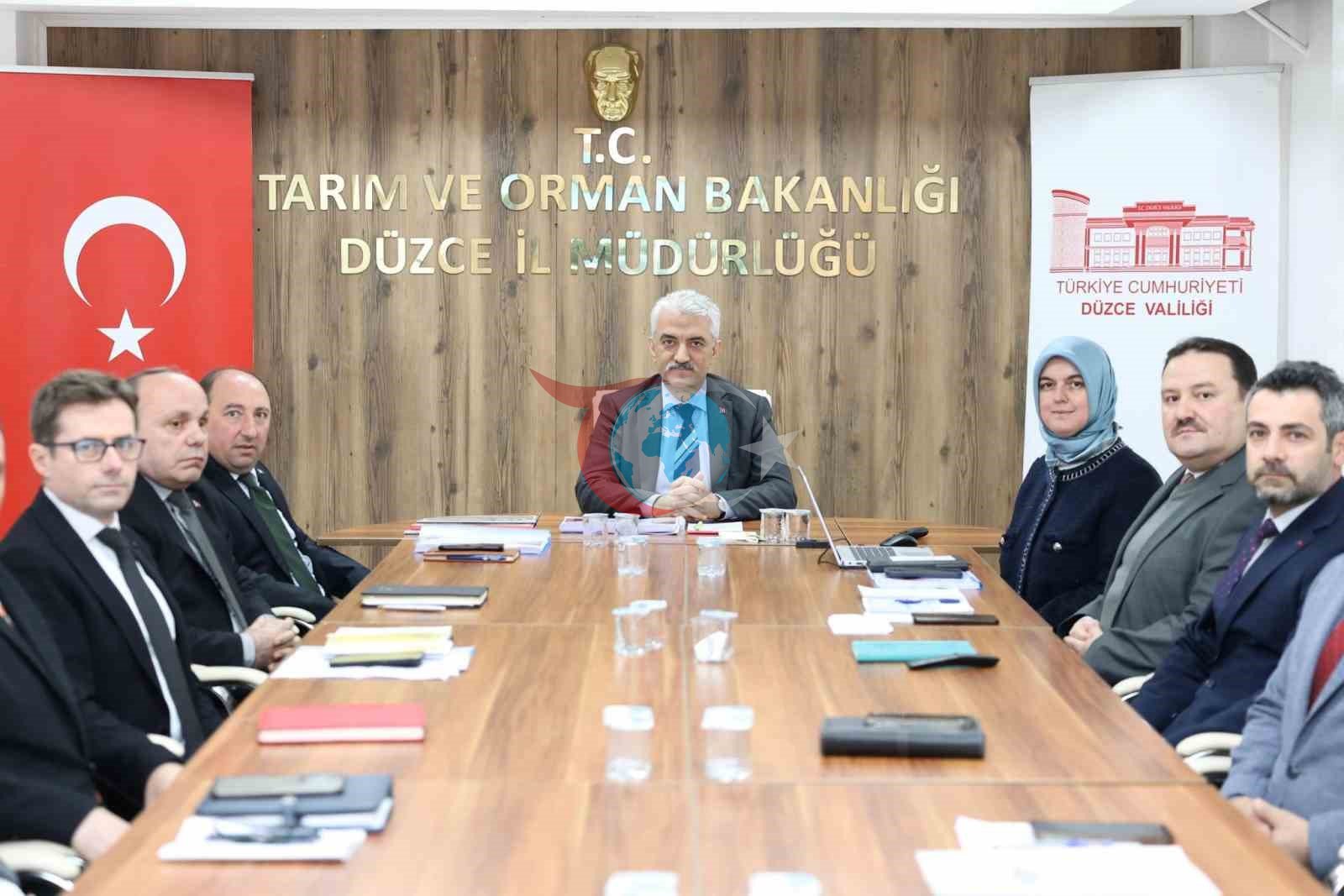 Vali Makas, 