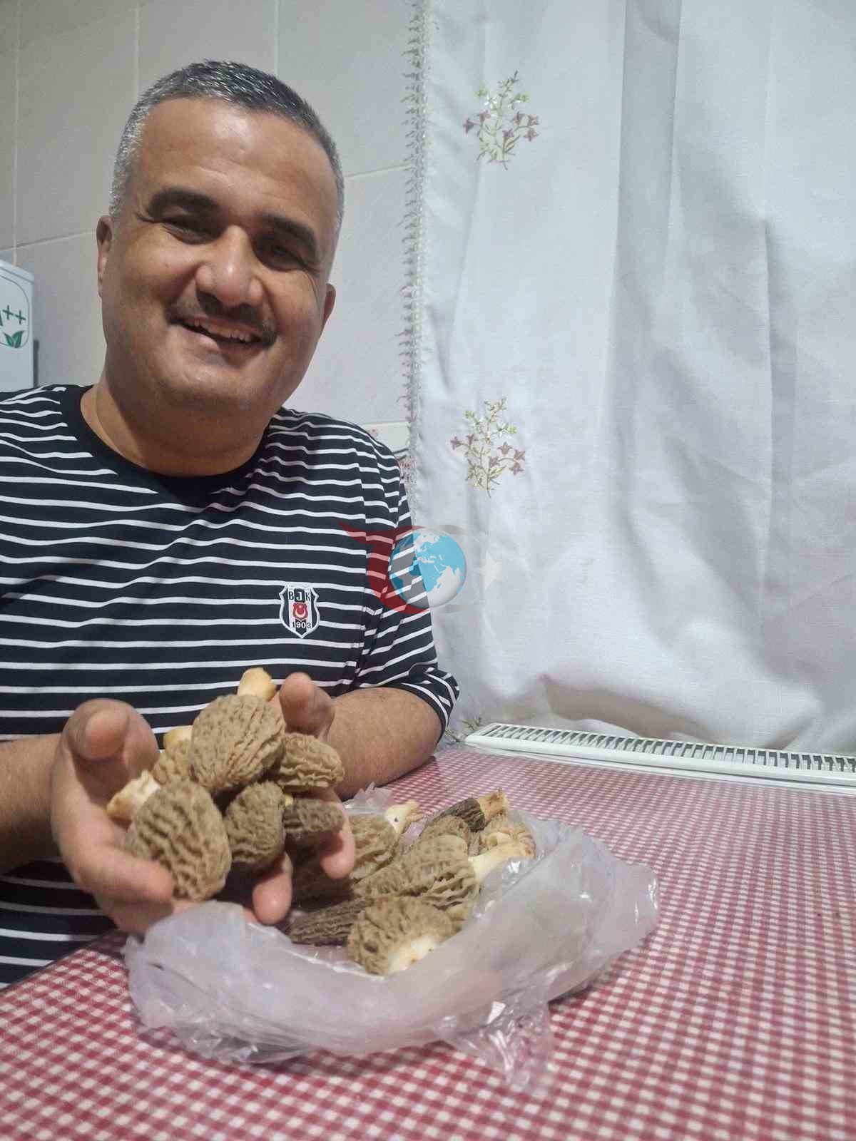 Doğanın ’Et lezzeti’ Kuzugöbeği sofralarda