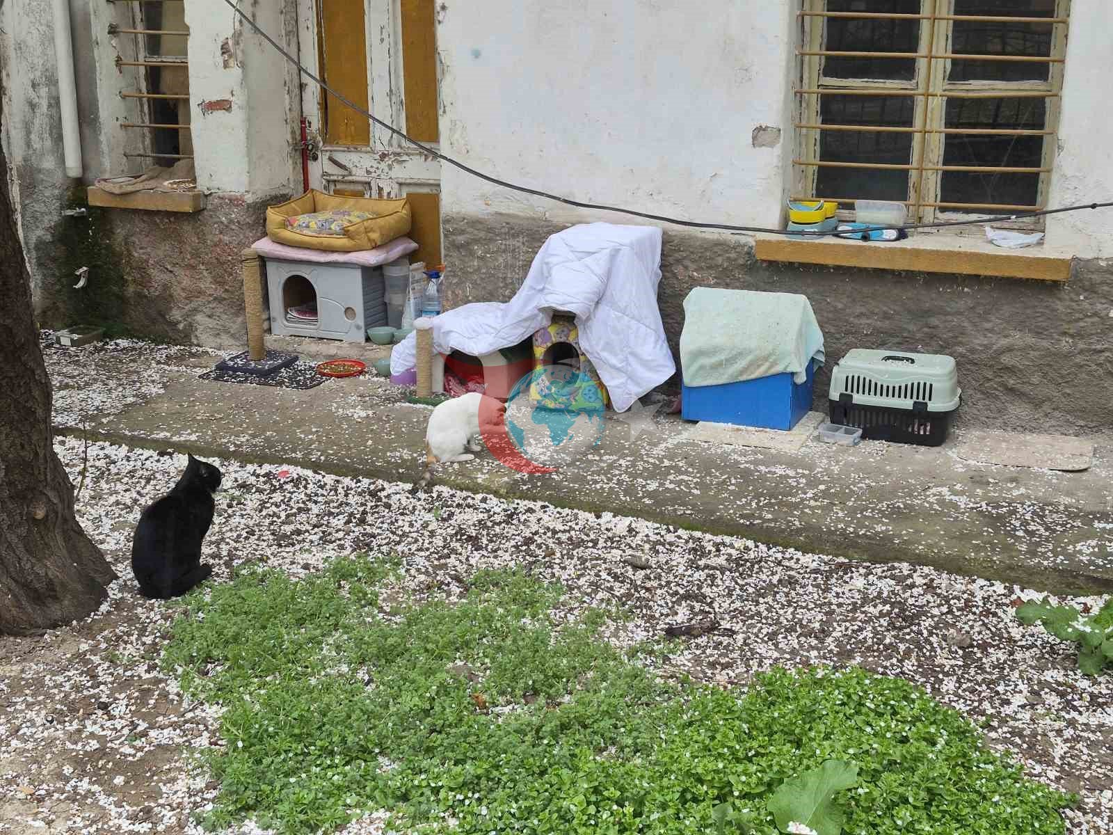 Hayvanseverlerin ilginç yazısı:
