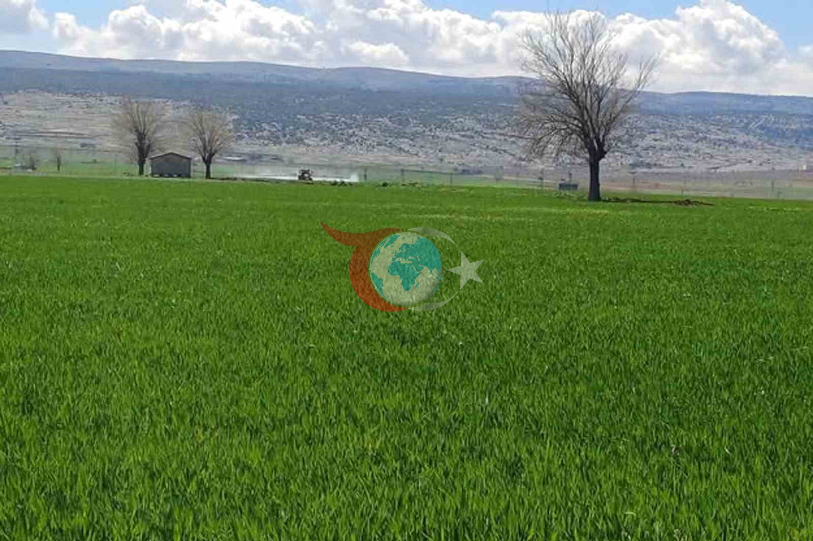 Araban&rsquo;da sarı pas hastalığını önlemek amaçlı ilaçlı mücadele başlatıldı