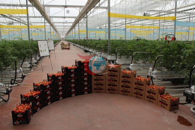 Bakan Yumaklı: 17,2 milyar liralık destek bugün itibarıyla üreticilerimizin hesabına geçecek