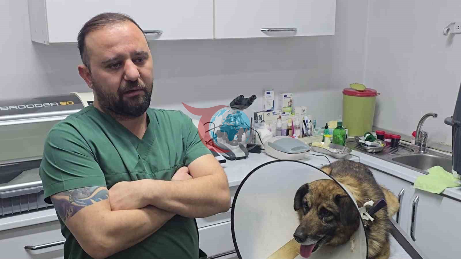 Havladığı için 4 kurşunla vurulan köpek hayata tutundu; Adını 