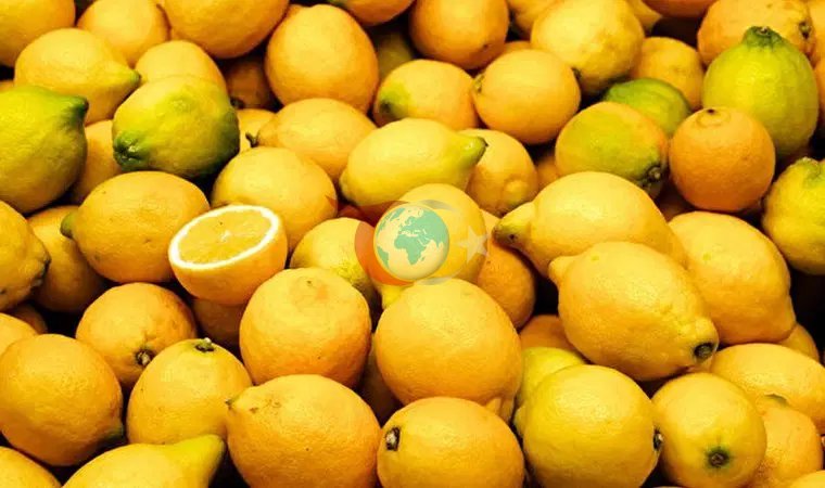 Limon fiyatında makas açılıyor: Hal ve market arasında 10 kat fiyat farkı - Son Dakika Ekonomi Haberleri | Cumhuriyet