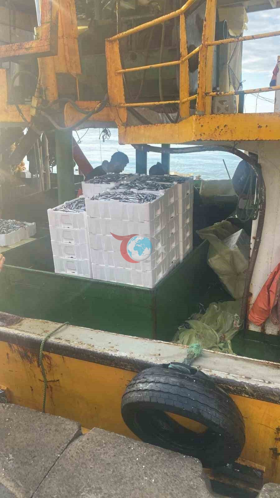 Hamsi kotası için Didim&rsquo;de denetim yapıldı