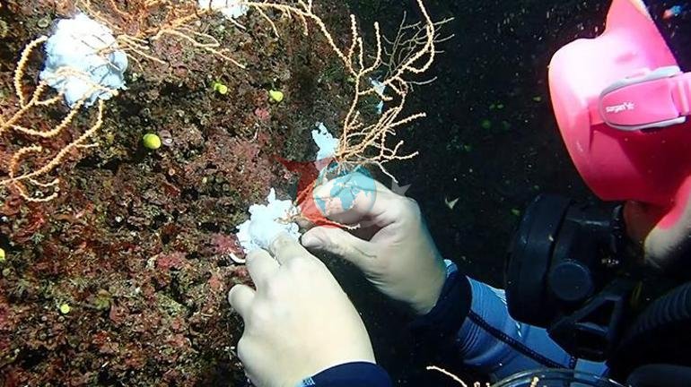 Bakan Kurum: Doğayı mercanlarla onarıyoruz