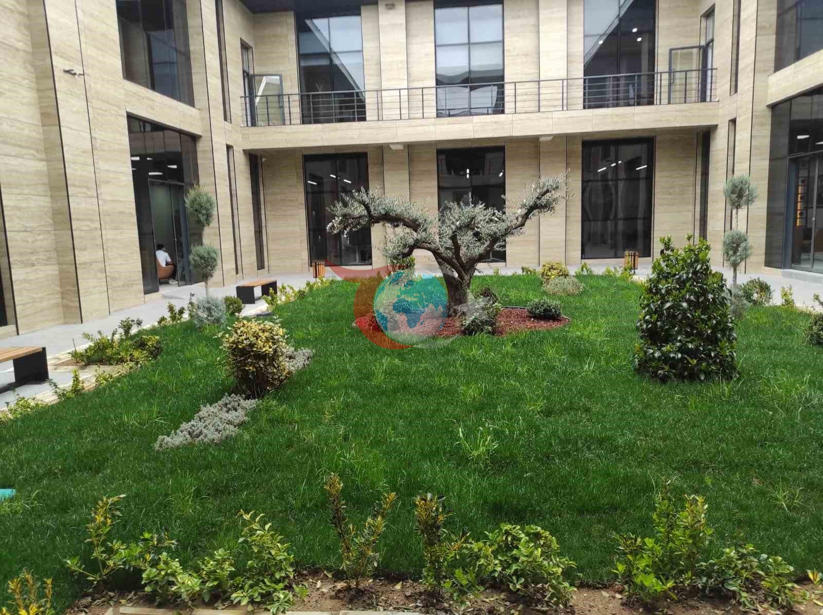 Sasonโda yeni kรผtรผphaneye yoฤun ilgi