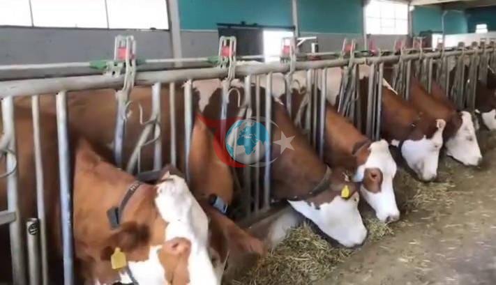 Erzurum'da 3,3 milyar TL'lik dev yatırım! TKDK hibeleriyle şehir şaha kalktı