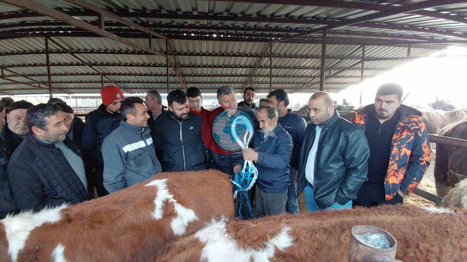 Bolu&rsquo;da kurban pazarlarında hareketlilik başladı