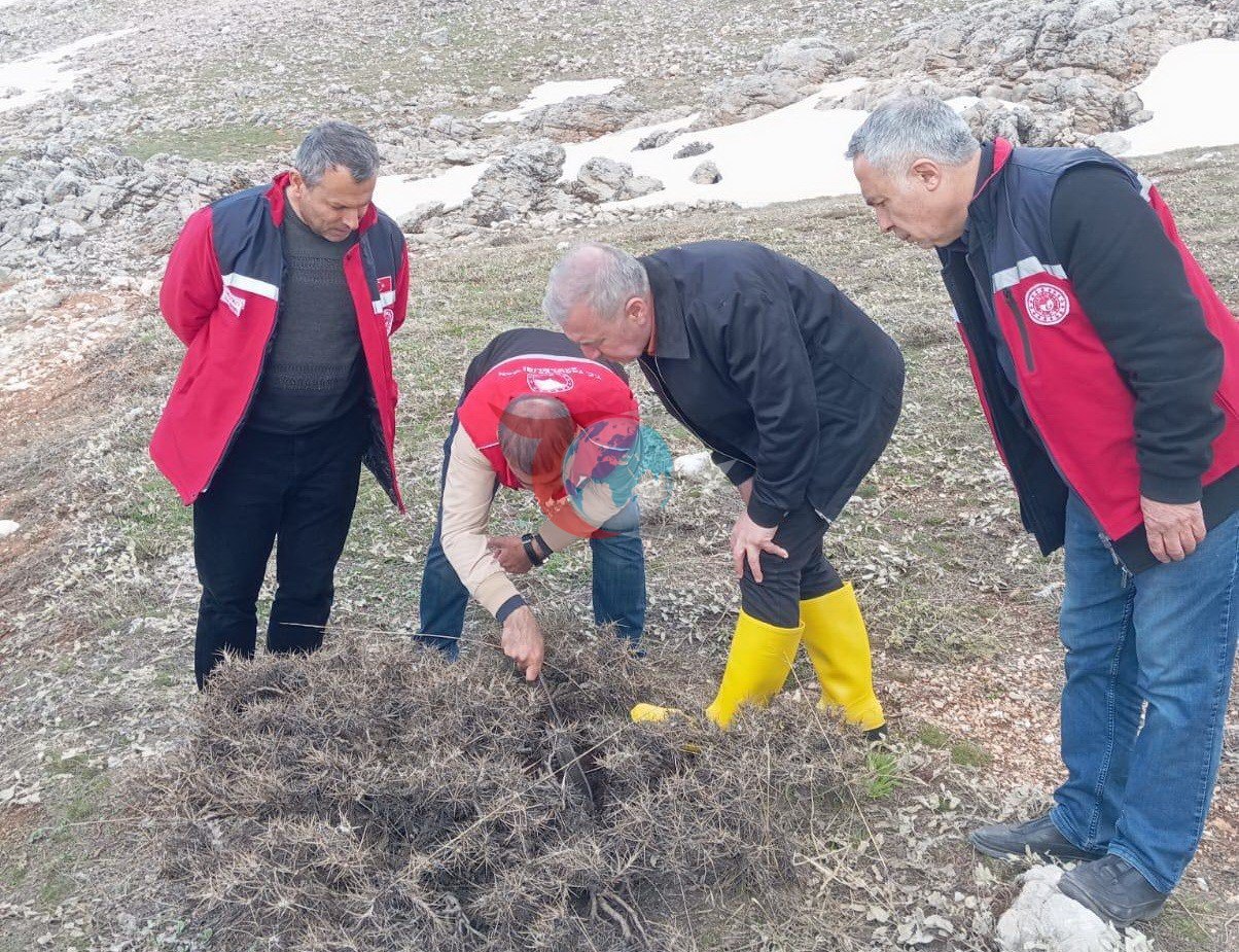 İlkbahar Süne Sürveyleri Adıyaman’da Başarıyla Tamamlandı