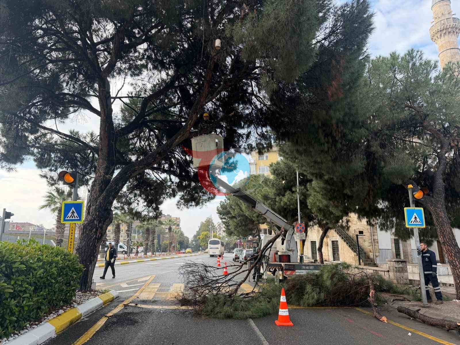 Aydın'da Kent Estetiği İçin Yeni Adımlar