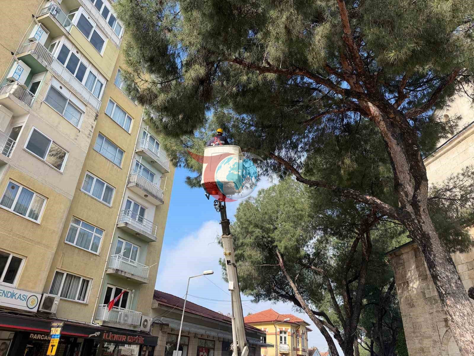 Aydın’ın en işlek noktasına estetik dokunuş