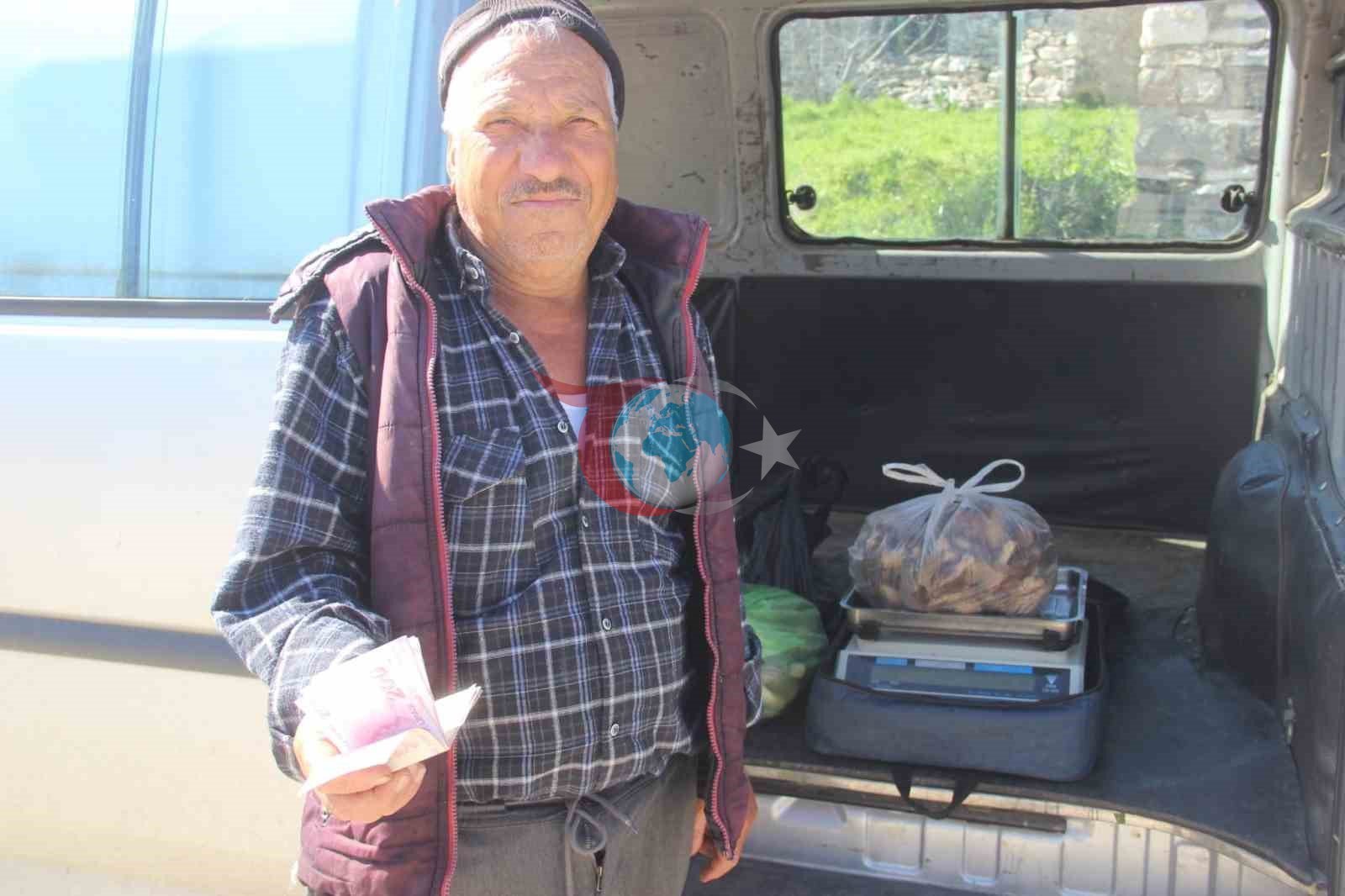 Çanakkale&rsquo;de dağ köylerinde kuzugöbeği gelir kapısı oldu