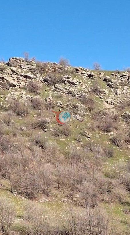 Bu hatayı yapan 940 bin liraya keçi sahibi oluyor