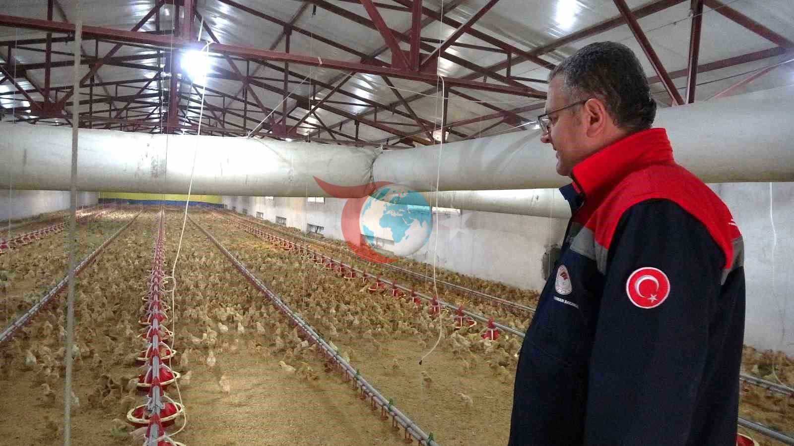 Bafra&rsquo;da organik hayvancılığa yerinde inceleme