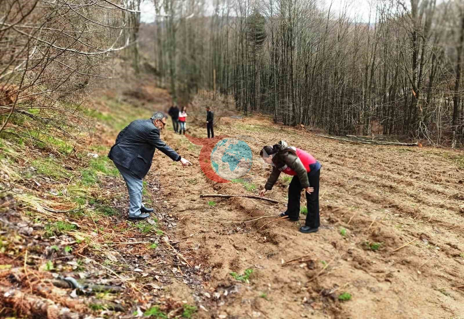Kütahya&rsquo;da yüzde 75 hibeli ahududu bahçelerinde kontroller gerçekleştirildi
