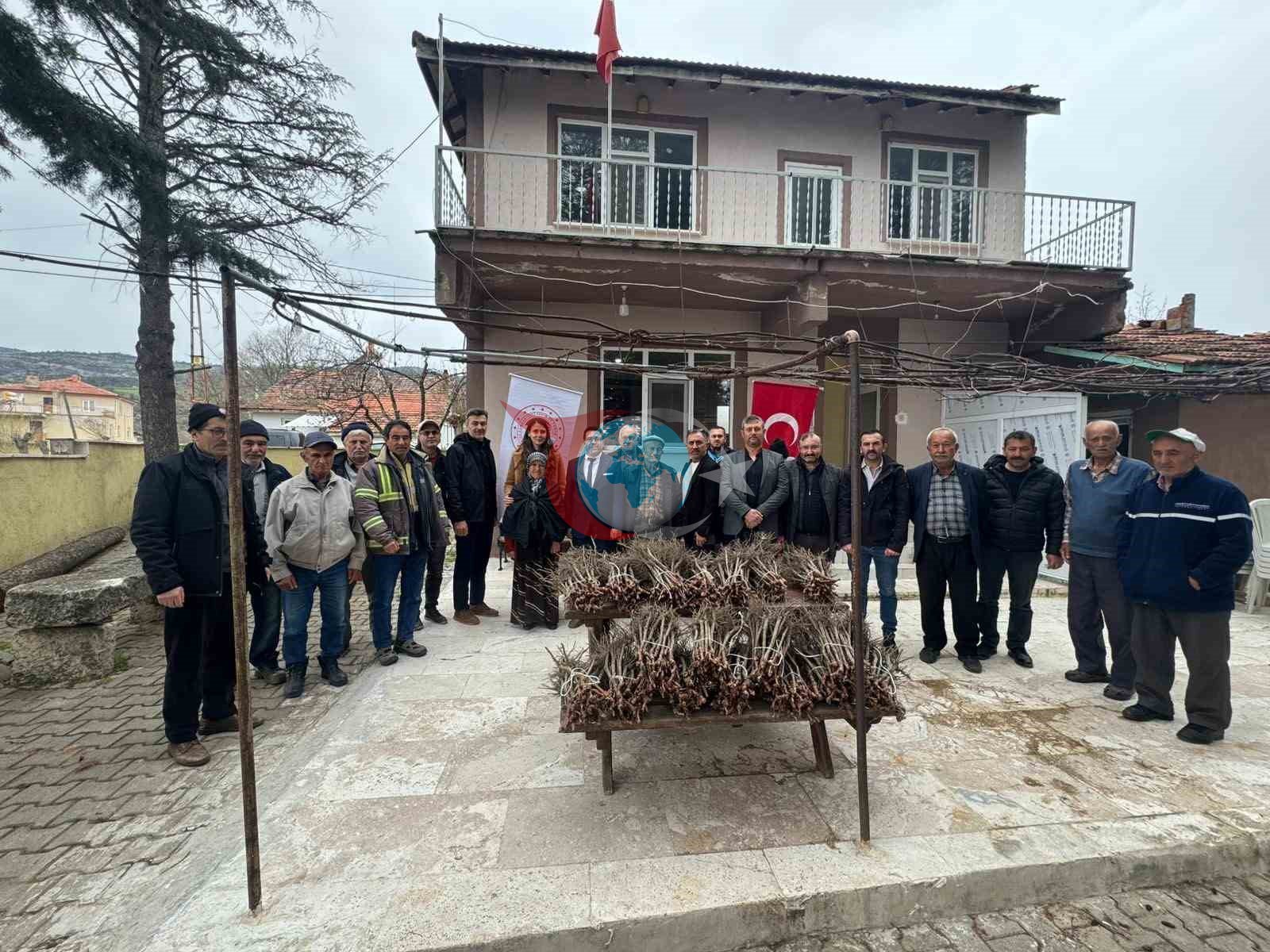 Emet&rsquo;te 35 üreticiye 980 adet üzüm fidanı dağıtıldı