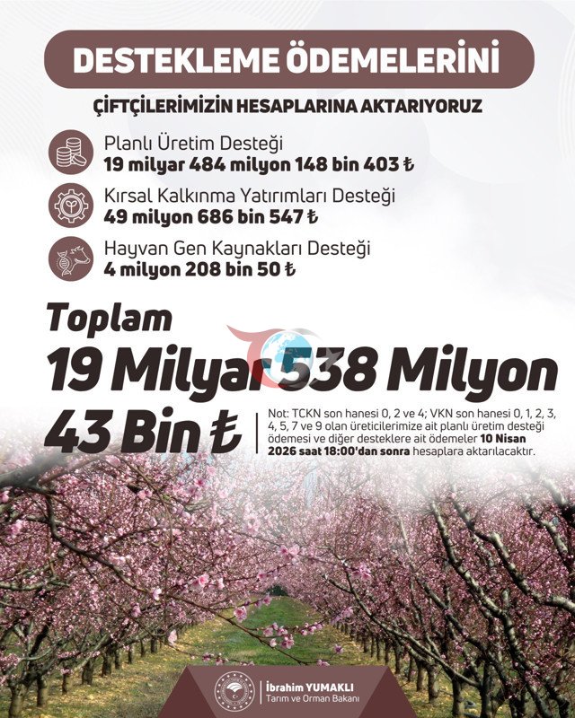 Bakan 'Hayırlı olsun' diyerek duyurdu! Paralar bugün hesaplara yatacak - Resim: 0
