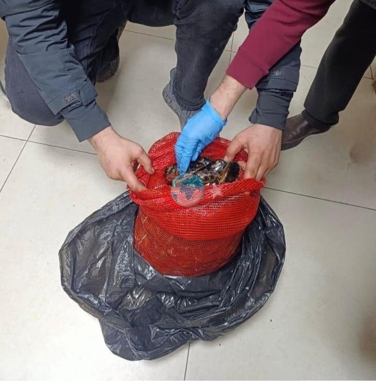10 tonluk tehlike Sofralara gidecekti, son anda yakalandı
