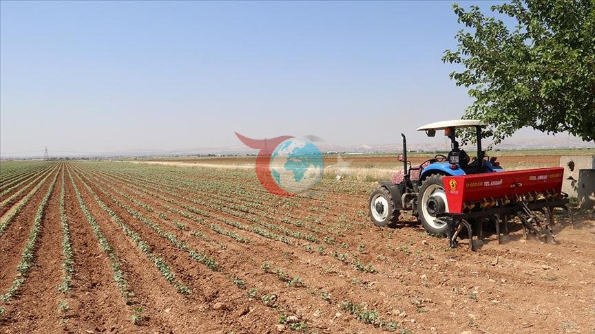 Hürmüz Boğazı kıskacında tarım: Savaş bitişse de maliyet baskısı sürecek
