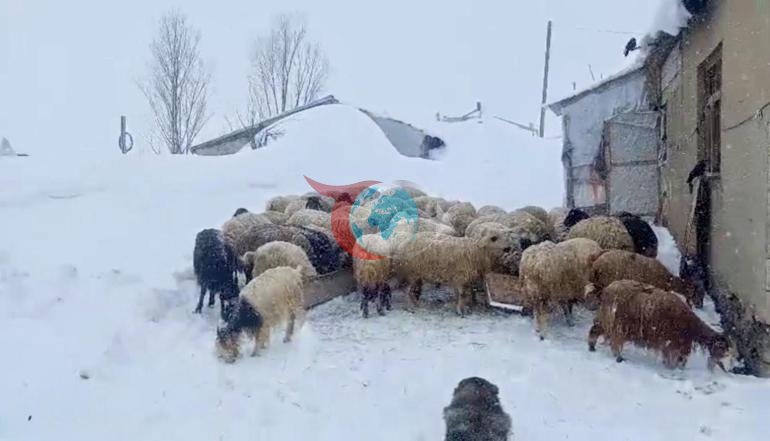 Nisan ayında insan boyu kar Kentte şaşkına çeviren manzara
