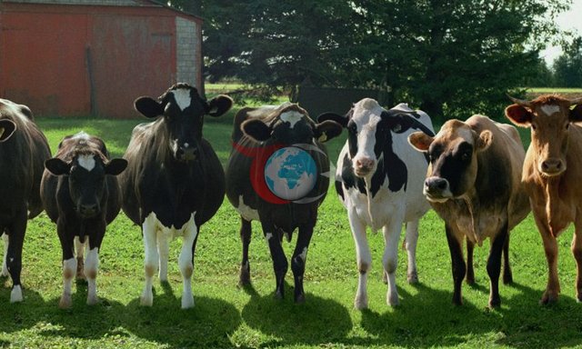Tarımda dijital devrim! 40 bin gence iş garantisi, 40 bin akıllı çiftlik... - Resim: 0