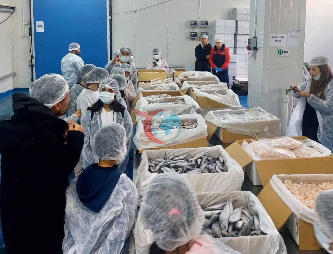 Geleceğin balıkçıları İzmir&rsquo;de yetişiyor
