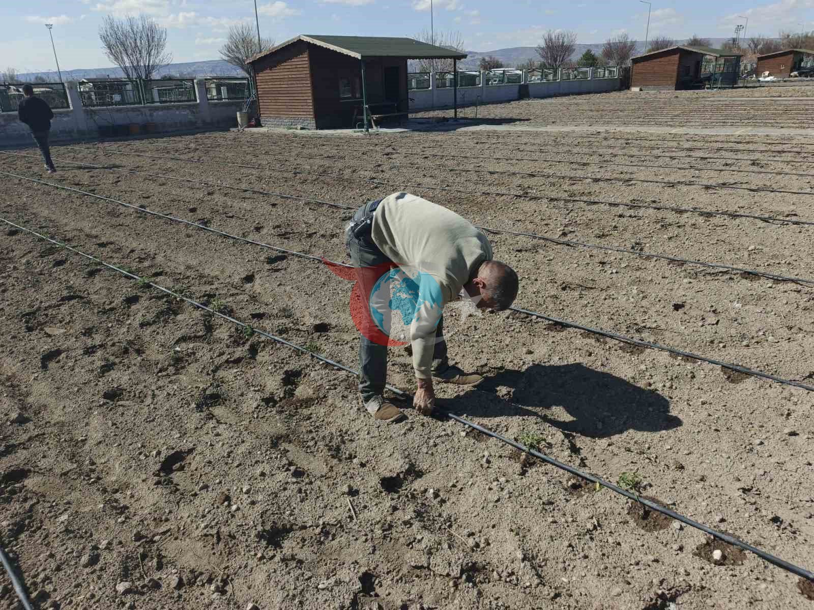 Büyükşehirin Doğal Ürünler Bahçesi ve Pazarı’nda yeni sezon hazırlığı