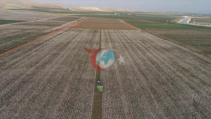 Savaş, Beklenmeyen Ürünün Fiyatlarını da Etkiledi