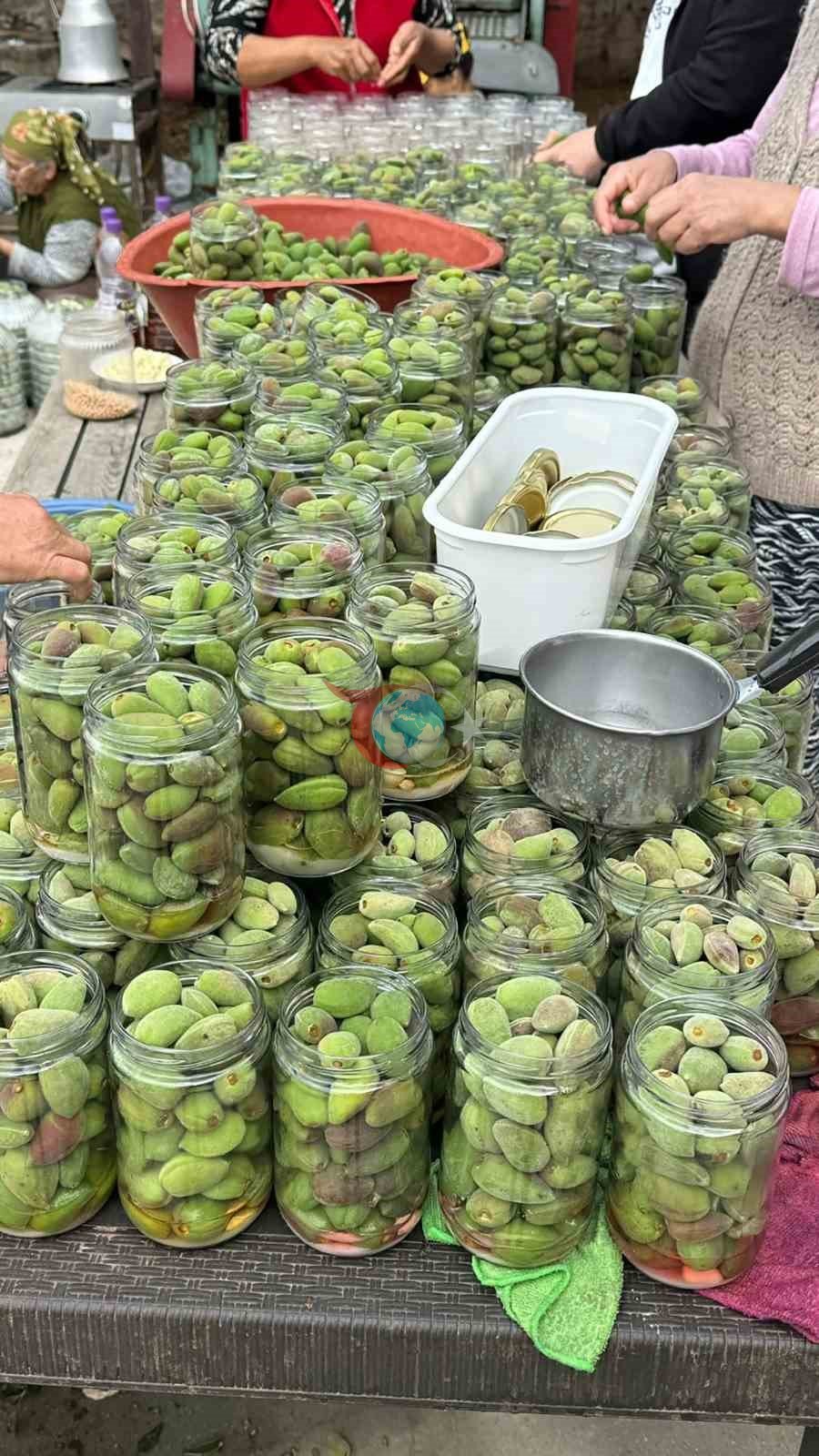 Çağla turşusundan kadın üreticilere ekonomik katkı