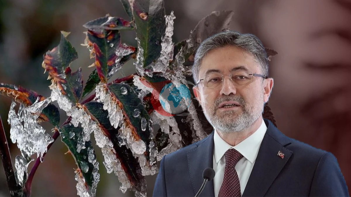 Bakan Yumaklı'dan Zirai Don Uyarısı ve Market Fiyatlarıyla İlgili Açıklamalar