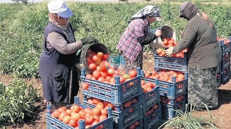 Çiftçiden zayiat kesintisine son