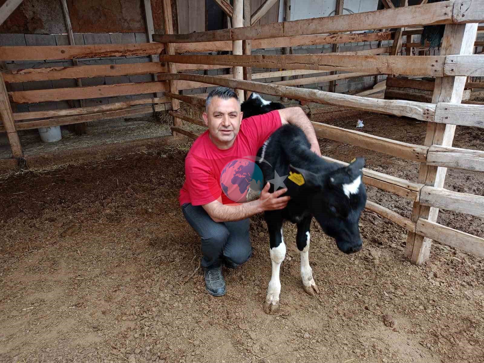 Çal’da Mert için yürekler seferber oldu